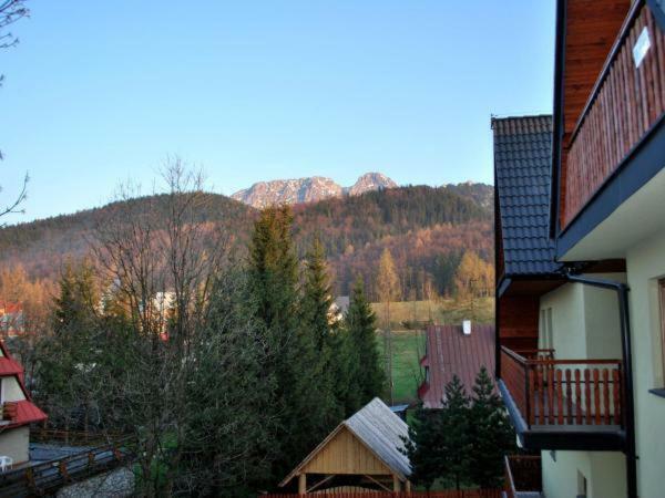 Apartament Domino - Krzeptowki 06 Zakopane Eksteriør bilde